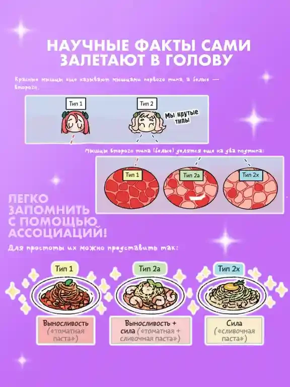 Еще более наглядная анатомия 4