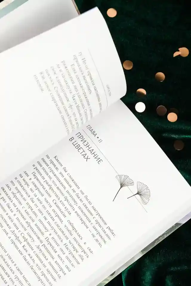 Стеклянная душа красавицы. Книга 2 14