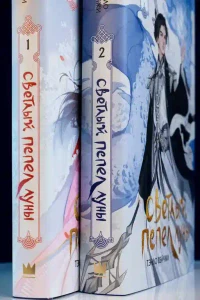 Светлый пепел луны. Книга 2 7