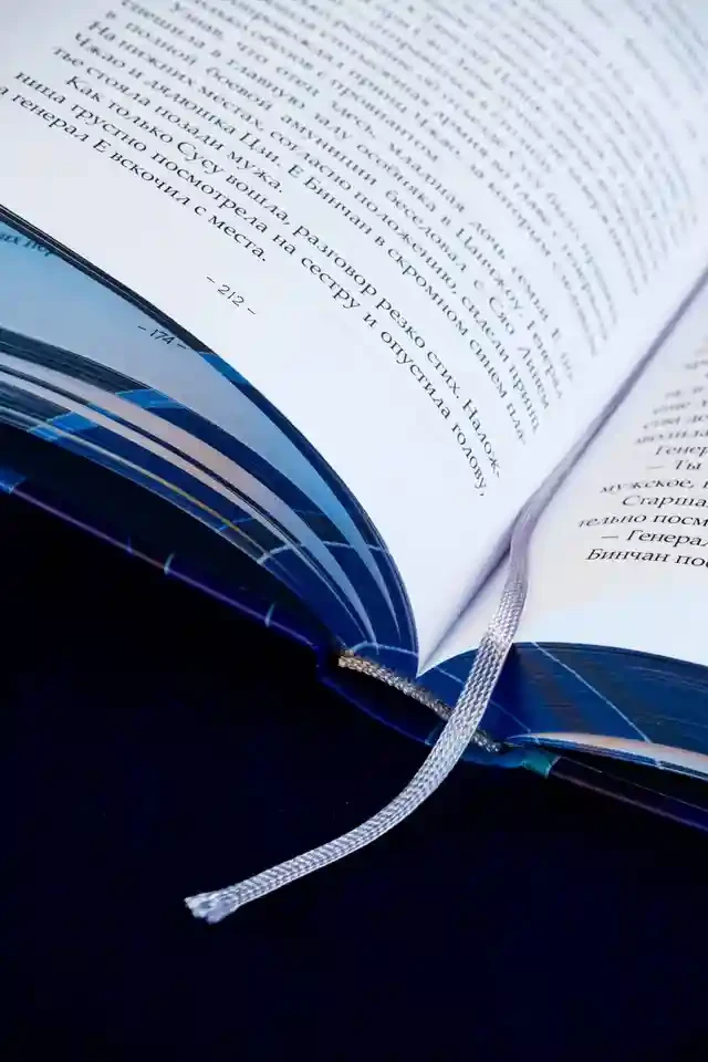 Светлый пепел луны. Книга 2 14