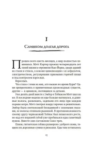 Другой мир. Кн.2. Королева Мальронс 11