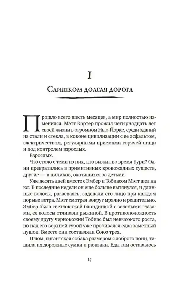 Другой мир. Кн.2. Королева Мальронс 11