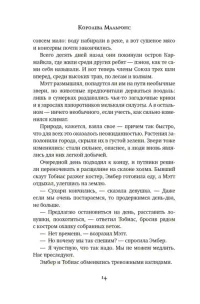 Другой мир. Кн.2. Королева Мальронс 12