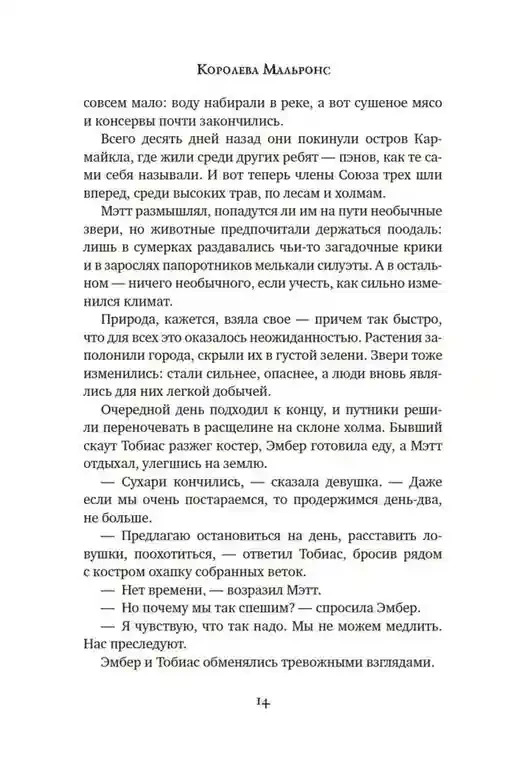 Другой мир. Кн.2. Королева Мальронс 12