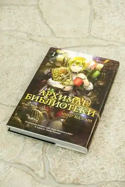 Архимаг библиотеки. Кн 1 9