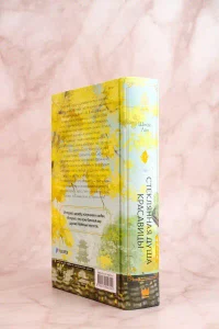 Стеклянная душа красавицы. Книга 1 9