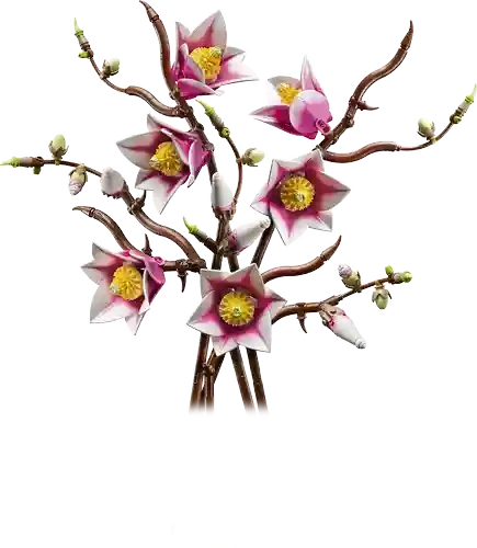 Lego 11510 Crengute de magnolie 9