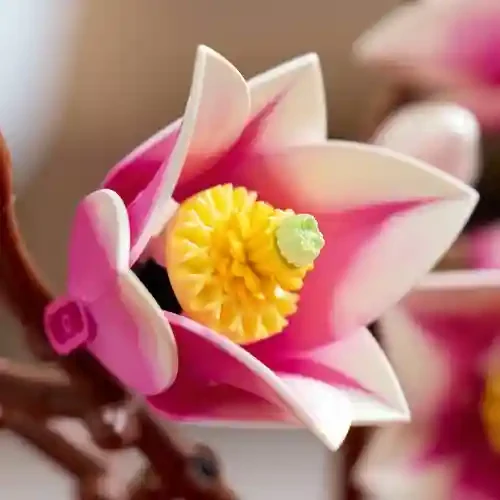 Lego 11510 Crengute de magnolie 7