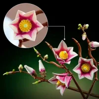 Lego 11510 Crengute de magnolie 5