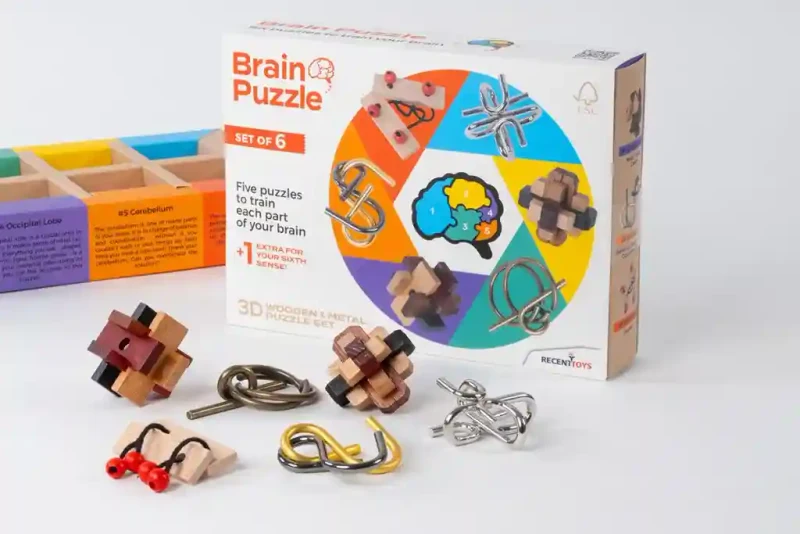 Joc de logica Puzzle mecanic RECENT Brain Set of 6 RT5144 2